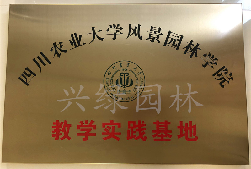 公司资质.jpg